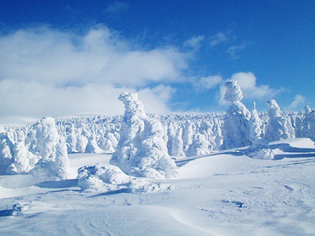 【弁天平樹氷原】山形の風物詩、｢樹氷｣を見ながら、冬の山形蔵王とほっこり温泉を堪能！