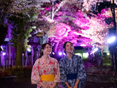 ライティングショー「HIKARIストリート」