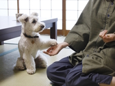 【プラン特典】愛犬利用料無料！※通常：1頭4,400円、2頭6,600円、3頭8,800円