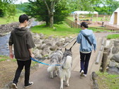 ペット同伴