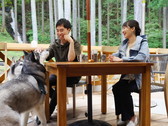 ブリカフェテラス席でのペット同伴OK