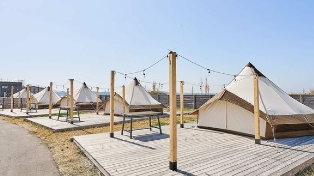 WOODDECK SITE