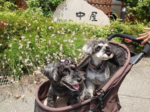 ワンちゃんと一緒に旅行