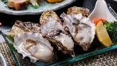 皇帝牡蠣