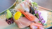福井県ならではの美味しいお魚を召し上がれ
