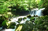 夏の蓼科大滝は、真夏でも涼しい天然のクーラー。