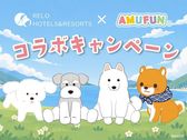 【AMUFUN×ゆるり西伊豆】期間限定コラボプランで旅をもっと楽しく♪