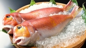 【甘鯛（ぐじ）】