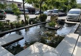 ホテル入口：鯉の池