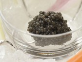 【2食付き/Exception】自家製フレッシュキャビア