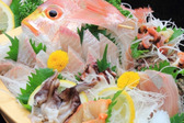 豪華舟盛り