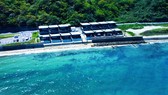 透き通る海が広がっています。