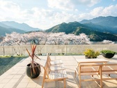 ・テラス／桜の季節はとくに綺麗でほっこり癒されます