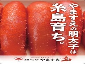 糸島めんたい「やますえ」①