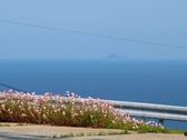 五島の海を一望
