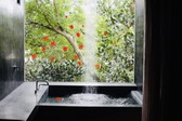 亜熱帯の森に包まれた レインシャワー